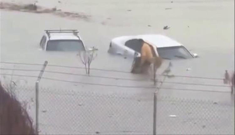 شرطي ليبي ينقذ رجلاً من ذوي الإعاقة وسط سيول طرابلس