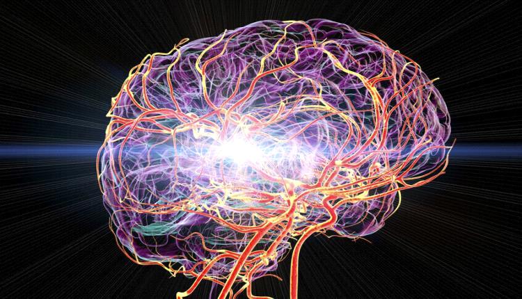 دراسة كندية: الإفراط في تناول الأطعمة فائقة المعالجة يرتبط بزيادة مخاطر تلف الأوعية الدموية بالدماغ