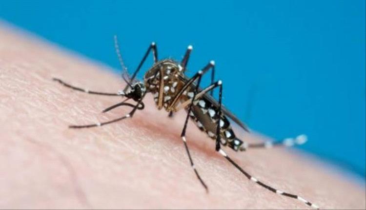 حمى الضنك تنتشر خارج نطاقاتها المعتادة وتسجل ارتفاعاً قياسياً في الولايات المتحدة
