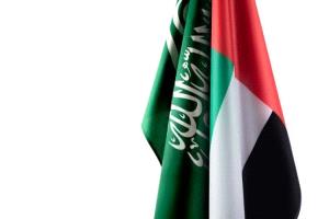 السعودية والإمارات تبحثان المستجدات الإقليمية وتداعيات الاعتداءات الحوثية
