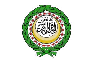 الجامعة العربية تؤكد أهمية تعزيز قدرات الدول العربية على مواجهة الكوارث