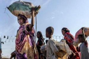 تحذيرات دولية من اقتراب المجاعة في السودان ودعوات لتدخل إنساني عاجل