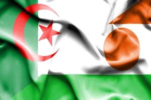 الجزائر تقر إرسال وحدات من الجيش إلى النيجر لحماية المصالح المشتركة