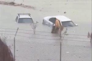 شرطي ليبي ينقذ رجلاً من ذوي الإعاقة وسط سيول طرابلس