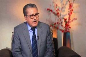 مستشار رئيس الوزراء: العمليات العسكرية ستتجاوز الساحل وباب المندب