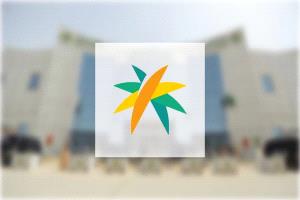 الموارد البشرية تبدأ تصحيح أوضاع العمالة اليمنية غير النظامية لمدة شهرين
تمكين انتقال العمالة وإلغاء بلاغات التغيب