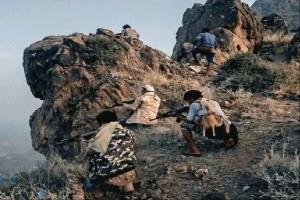 أبناء ضحيح بكحلان يتصدون لهجمات حوثية ويكبدون المهاجمين خسائر في ريف تعز