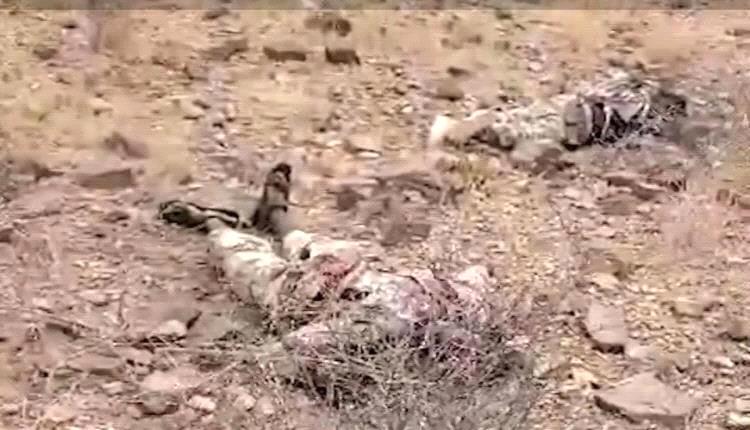 العثور على جثث يُعتقد أنها لعناصر من حركة الشباب بين قتلى الحوثيين بالساحل الغربي