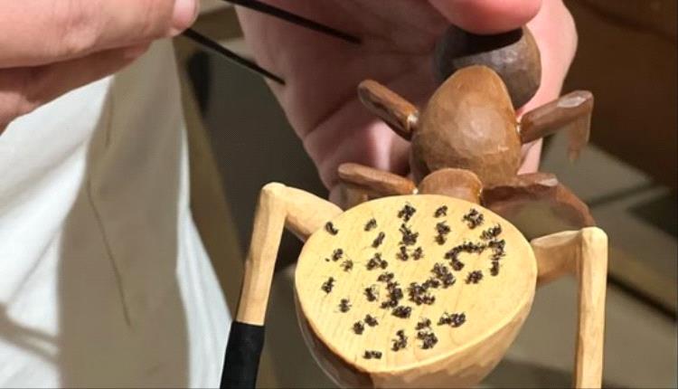 غرامة لمطعم كوري شهير بسبب تقديم حلوى بالنمل
