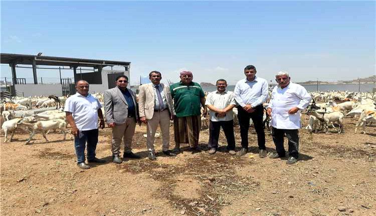 إعادة تشغيل محجر «دكة الكباش» في عدن واستقبال أول شحنة مواشٍ