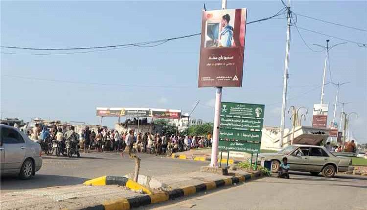 مطالب بتنظيم سوق المواشي بمدخل زنجبار وتخفيف الازدحام المروري