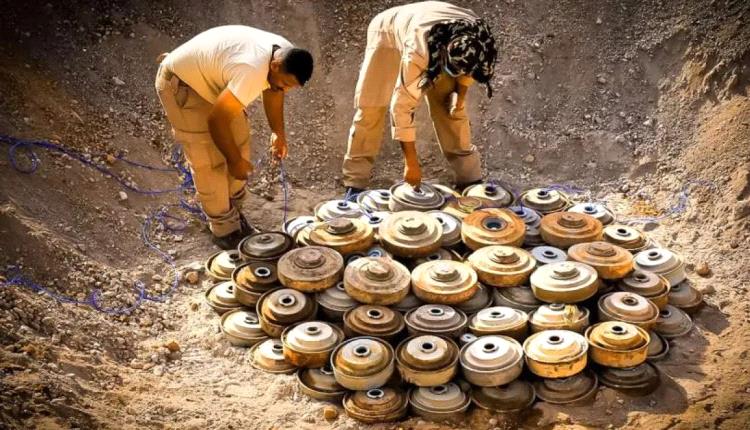 «مسام»: نزع 5164 لغمًا وعبوة ناسفة من مخلفات مليشيا الحوثي في المناطق اليمنية  منذ مطلع سبتمبر