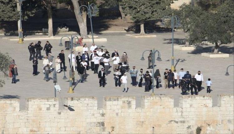 أوقاف القدس: 1222 مستوطناً اقتحموا المسجد الأقصى بحماية الشرطة الإسرائيلية