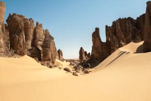 أسماك تظهر وسط صحراء الجزائر بعد أمطار غزيرة وتثير دهشة السكان