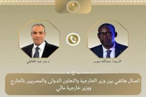 مصر ومالي تعززان التنسيق لمواجهة الإرهاب ودعم استقرار منطقة الساحل