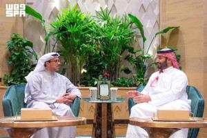 ولي العهد السعودي ونائب رئيس الإمارات يبحثان تطورات المنطقة والعلاقات الثنائية