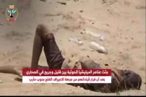 تسجيل عسكري يوثق قتلى وجرحى حوثيين في جبهة جنوب مأرب