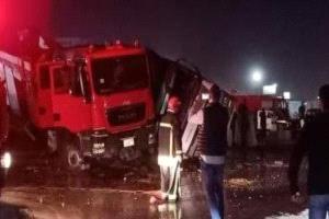 وفاة منقذ الحيوانات الذي كرس عقدين لإنقاذ الكلاب