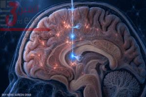 غرسة دماغية بحجم شعرة تجمع 3 وظائف في جهاز واحد
