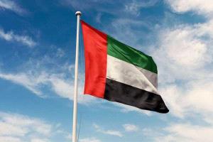 الإمارات تُدين هجمات جماعة الحوثي على السعودية